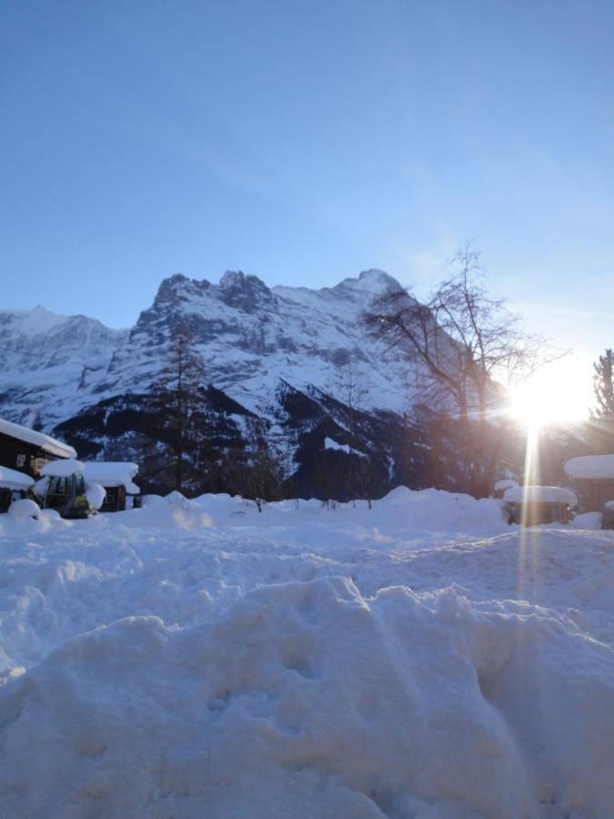 Chalet Engi Apt 1 For Up To 8 People Grindelwald Exterior foto