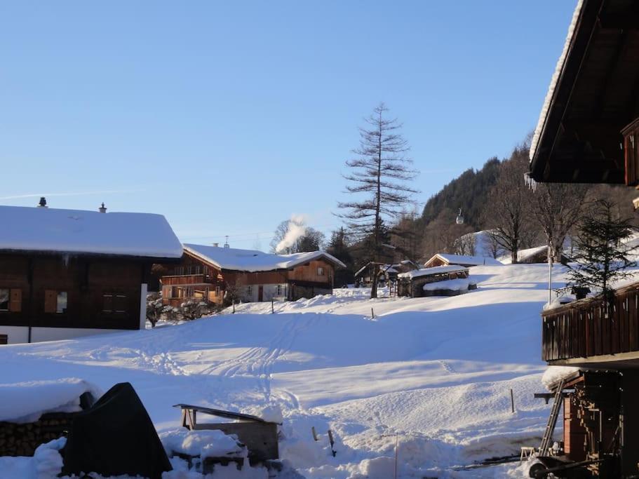 Chalet Engi Apt 1 For Up To 8 People Grindelwald Exterior foto